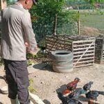 Bhabinkamtibmas Polsek Lengkong Pantau Lahan Pekarangan Ternak Ayam di Desa Balongasem