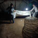 Polisi Bongkar Lokasi Diduga Sebagai Arena Judi Sabung Ayam di Ngronggot