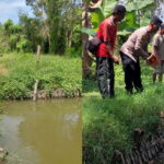 Dukung Ketahanan Pangan, Kapolsek Bagor Tinjau Budidaya Lele Pekarangan Warga Petak