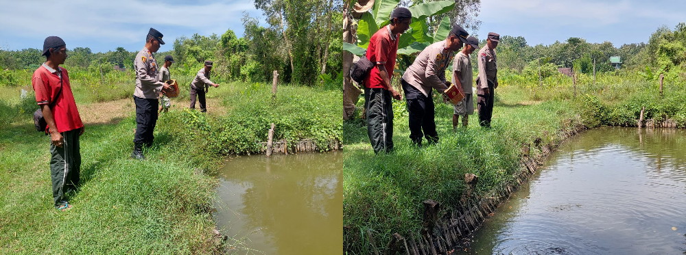 Dukung Ketahanan Pangan, Kapolsek Bagor Tinjau Budidaya Lele Pekarangan Warga Petak