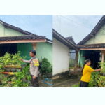 Dukung Ketahanan Pangan, Bhabinkamtibmas Ngepeh Pantau Pekarangan Bergizi Warga