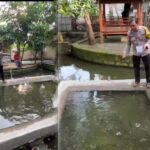 Polsek Gondang Sulap Lahan Kosong Jadi Kolam Lele dan Nila, Wujud Nyata Dukung Ketahanan Pangan