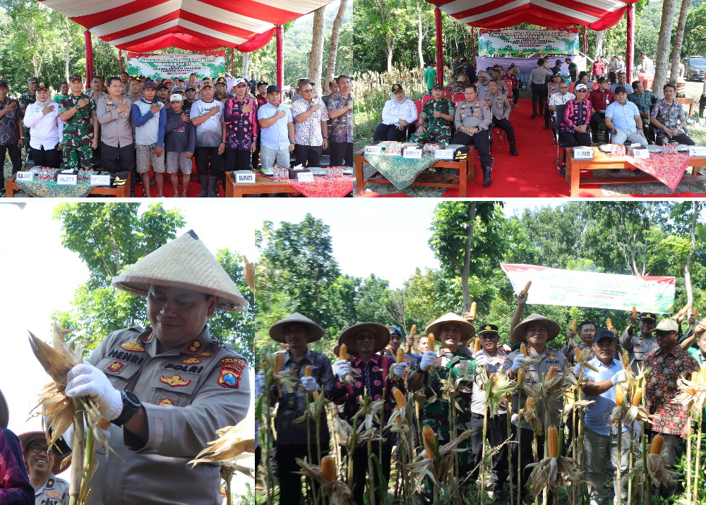 Polres Nganjuk Ikuti Zoom dan Panen Raya Jagung Serentak Bersama Presiden RI Prabowo Subianto