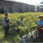 Pemanfaatan Pekarangan, Polsek Nganjuk Kota Dorong Kemandirian Pangan Warga