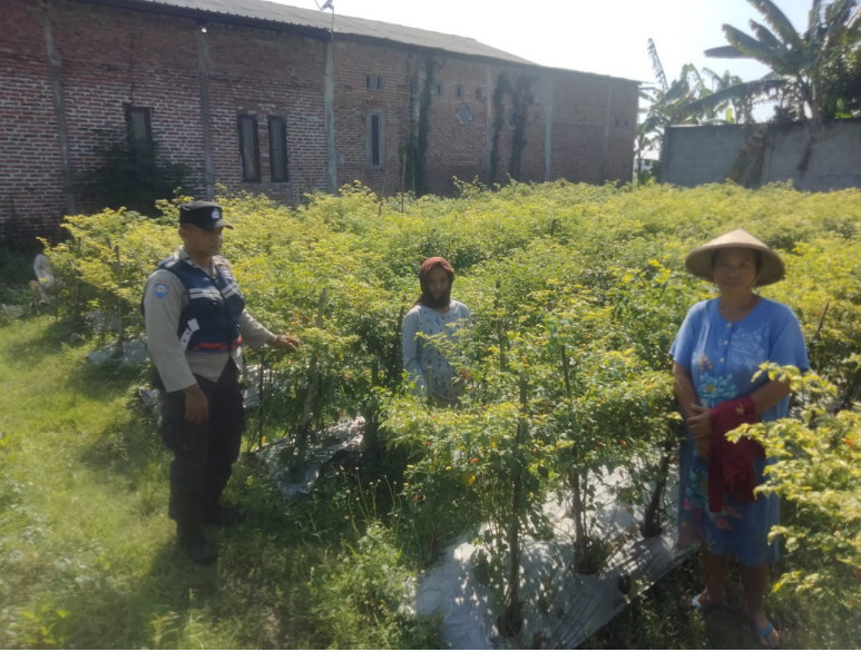 Pemanfaatan Pekarangan, Polsek Nganjuk Kota Dorong Kemandirian Pangan Warga