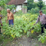 Wujudkan Kemandirian Pangan, Polsek Patianrowo Dampingi Warga Kelola Pekarangan