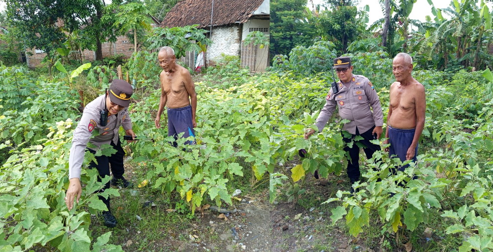 Wujudkan Kemandirian Pangan, Polsek Patianrowo Dampingi Warga Kelola Pekarangan