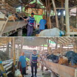 Kapolres Nganjuk Apresiasi Warga yang Produktifkan Lahan Pekarangan untuk Ternak Kambing
