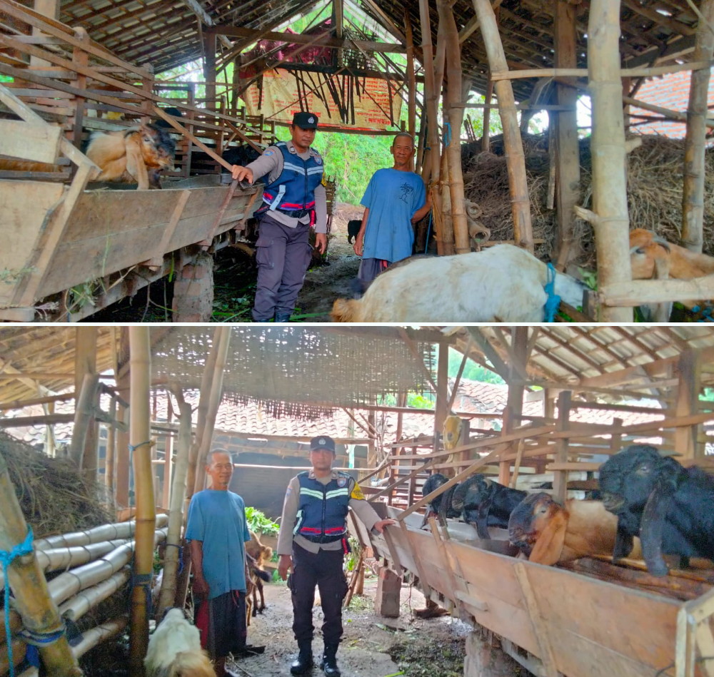 Kapolres Nganjuk Apresiasi Warga yang Produktifkan Lahan Pekarangan untuk Ternak Kambing