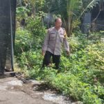 Warga Gondang Manfaatkan Pekarangan Jadi Sumber Pangan dan Ekonomi