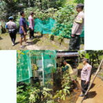 Polsek Sawahan Dukung Ketahanan Pangan Lewat Pemanfaatan Lahan Perkarangan