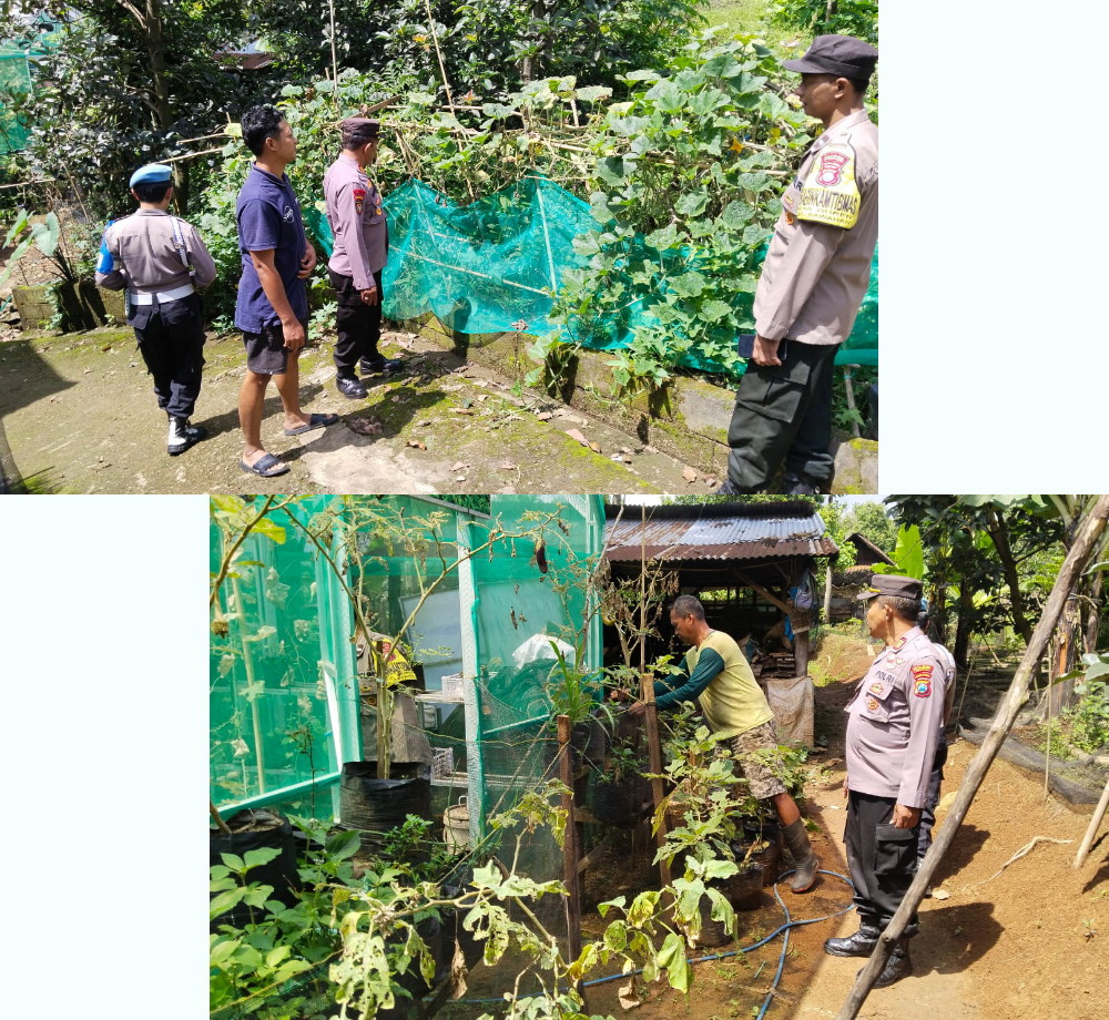 Polsek Sawahan Dukung Ketahanan Pangan Lewat Pemanfaatan Lahan Perkarangan