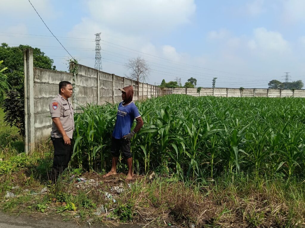 Program Ketahanan Pangan Polsek Kertosono Bangkitkan Lahan Tak Tergarap