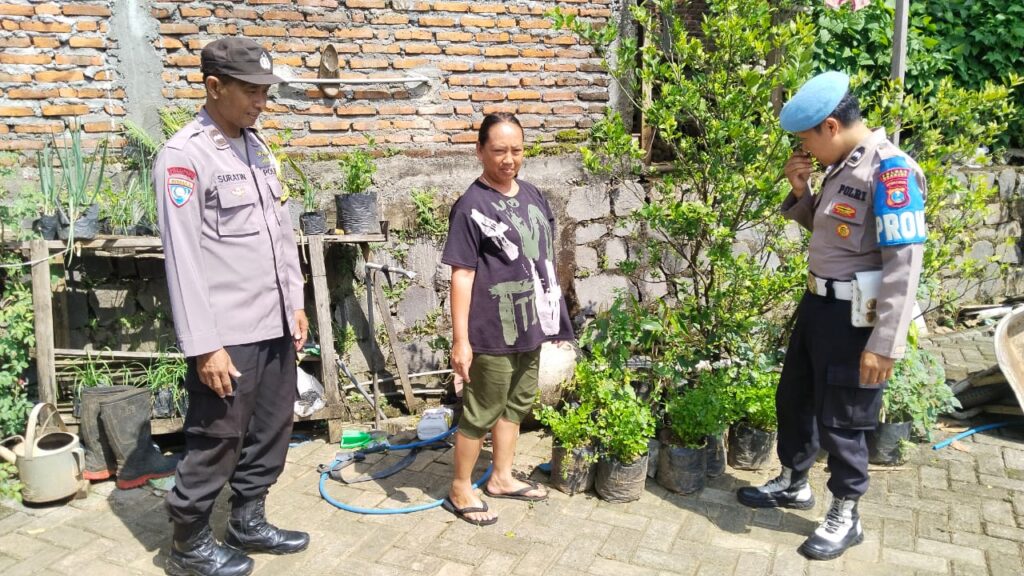 Seledri Sehat dari Pekarangan: Polsek Sawahan Dukung Ketahanan Pangan Warga