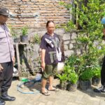 Seledri Sehat dari Pekarangan: Polsek Sawahan Dukung Ketahanan Pangan Warga