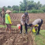 Bhabinkamtibmas Sukomoro Dukung Ketahanan Pangan, Kawal Pemanfaatan Lahan Pekarangan Warga